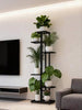 6/5/4 Tier Plant Stand - Home Garden Decor & Plant Storage Rack - Creative Pot Organizer Stunning Design, Perfect For Indoor/Outdoor Decor Space-Saving Indoor/Outdoor Plant Stand